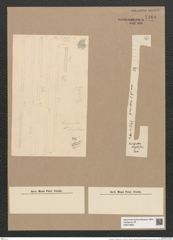 Thalassiothrix elongata Grun. (de-Toni-Nr.: Genus 67, Species 2673) Zeichnungen Sammlung Grunow Nr. 5460 (NHMW-BOT-W0373880)